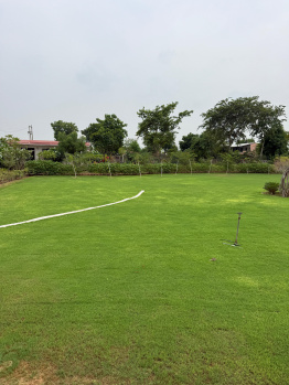 Agricultural/Farm Land for Sale in Sohna, Gurgaon (1 Acre)