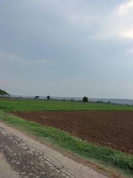 Property for sale in Ferozepur Jhirka, Nuh