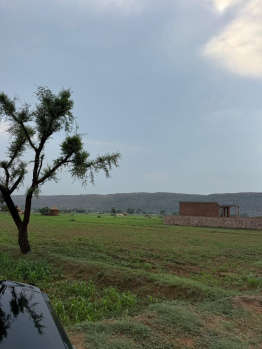 Agricultural/Farm Land for Sale in Ferozepur Jhirka, Nuh (4 Acre)