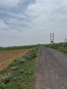 Agricultural/Farm Land for Sale in Ferozepur Jhirka, Nuh (2 Acre)