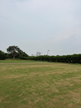 Agricultural/Farm Land for Sale in Sohna, Gurgaon (1200 Sq. Yards)