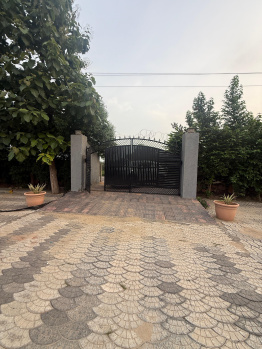 Agricultural/Farm Land for Sale in Taoru, Gurgaon (1 Acre)