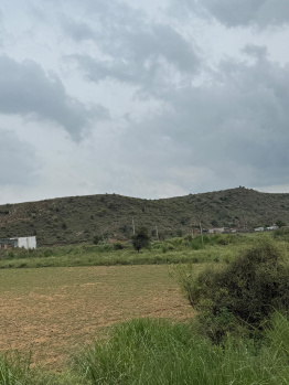 Agricultural/Farm Land for Sale in Ferozepur Jhirka, Nuh (2 Acre)
