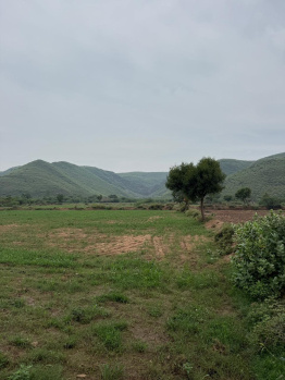 Agricultural/Farm Land for Sale in Ferozepur Jhirka, Nuh (1 Acre)