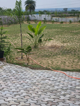 Agricultural/Farm Land for Sale in Sohna, Gurgaon (2420 Sq. Yards)