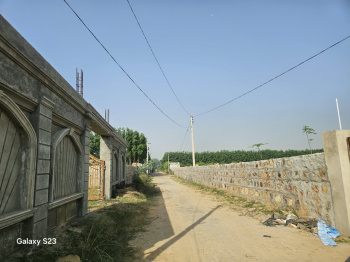 Agricultural/Farm Land for Sale in Sohna, Gurgaon (1210 Sq. Yards)