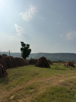 Agricultural/Farm Land for Sale in Naugaon, Alwar (5 Acre)