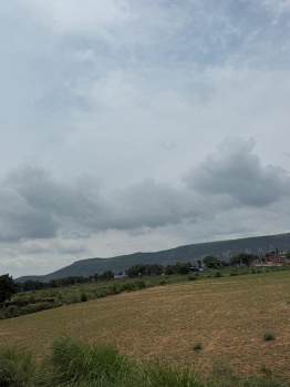 Agricultural/Farm Land for Sale in Naugaon, Alwar (3 Bigha)