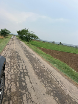 Agricultural/Farm Land for Sale in Pahari, Bharatpur (4 Bigha)