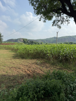 Agricultural/Farm Land for Sale in Ferozepur Jhirka, Nuh (1 Acre)