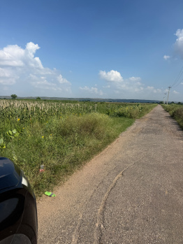 Agricultural/Farm Land for Sale in Ferozepur Jhirka, Nuh (2 Acre)
