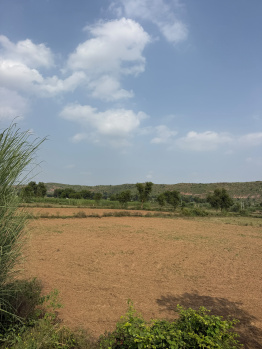 Agricultural/Farm Land for Sale in Naugaon, Alwar (2 Bigha)