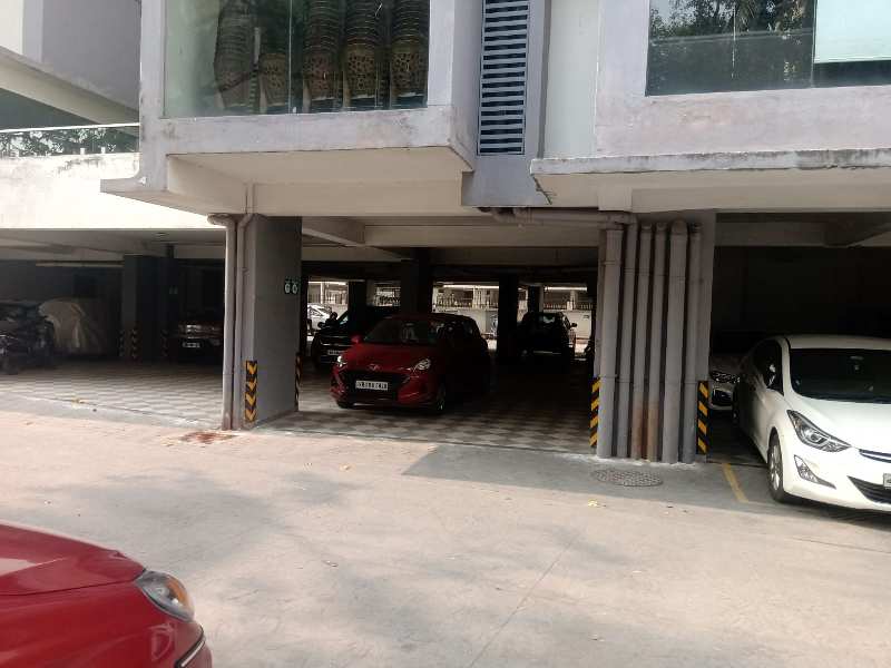 3 BHK Flats & Apartments for Rent in Bangur, Kolkata (1250 Sq.ft.)