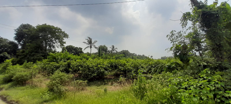 LAND FOR SALE AT DURGAPUR 12 KM FROM BENACHITY