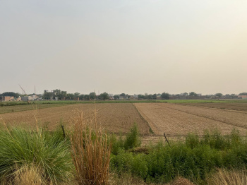 Agriculture land in dankor greater Noida