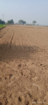 133 Sq.ft. Agricultural/Farm Land for Sale in Khair, Aligarh