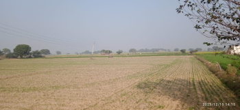 18.5 Bigha Agricultural/Farm Land for Sale in Khair, Aligarh