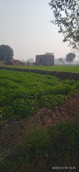 8 Bigha Agricultural/Farm Land for Sale in Jewar, Gautam Buddha Nagar