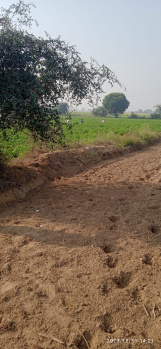 4 Bigha Agricultural/Farm Land for Sale in Jewar, Gautam Buddha Nagar