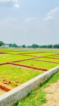 100 Sq. Yards Residential Plot for Sale in Jewar, Gautam Buddha Nagar