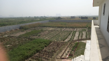 6 Bigha Residential Plot for Sale in Jewar, Gautam Buddha Nagar