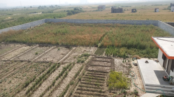 Property for sale in Jewar, Gautam Buddha Nagar