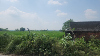 9 Bigha Residential Plot for Sale in Khair, Aligarh