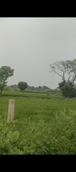 Property for sale in Tappal, Aligarh