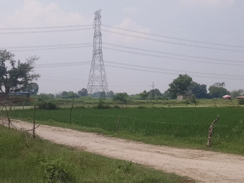 10 Bigha Agricultural/Farm Land for Sale in Jewar, Gautam Buddha Nagar