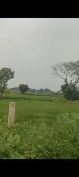 5 Bigha Residential Plot for Sale in Jewar, Gautam Buddha Nagar