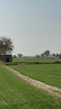 20 Bigha Residential Plot for Sale in Jewar, Gautam Buddha Nagar