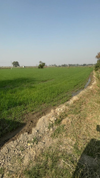 Property for sale in Jewar, Gautam Buddha Nagar