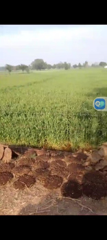Property for sale in Bajna, Mathura