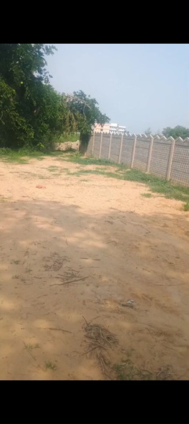 Residential Plot for Sale in Khair, Aligarh (17 Bigha)