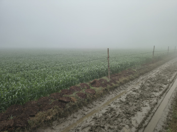 Agricultural/Farm Land for Sale in Jewar, Gautam Buddha Nagar (4.5 Bigha)