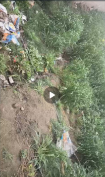 Agricultural/Farm Land for Sale in Jewar, Gautam Buddha Nagar (2016 Sq. Yards)