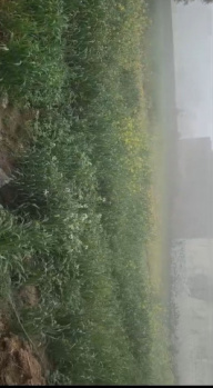 Property for sale in Jewar, Gautam Buddha Nagar