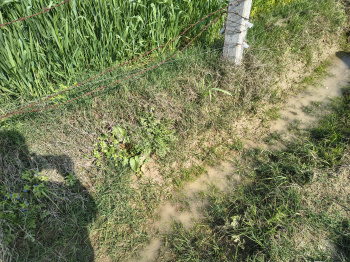 Property for sale in Tappal, Aligarh