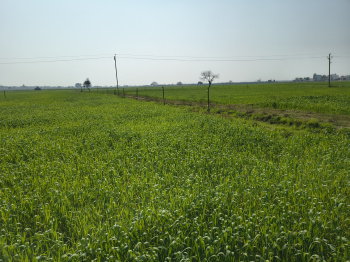 Property for sale in Tappal, Aligarh