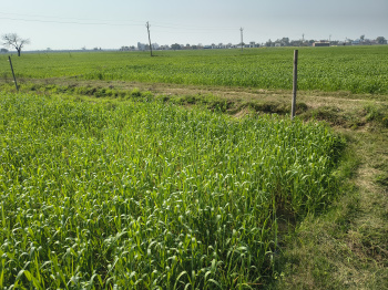 Property for sale in Tappal, Aligarh