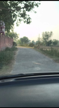 Agricultural/Farm Land for Sale in Khurja, Bulandshahr (38 Bigha)
