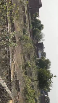 Agricultural/Farm Land for Sale in Jewar, Gautam Buddha Nagar (1060 Sq. Meter)