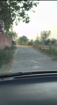 Agricultural/Farm Land for Sale in Jewar, Gautam Buddha Nagar (35 Bigha)