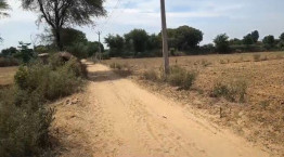 Agricultural/Farm Land for Sale in Jewar, Gautam Buddha Nagar (1212 Sq. Yards)