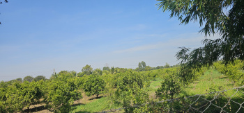 7.25 Ares Agricultural/Farm Land for Sale in Chikalthana, Aurangabad