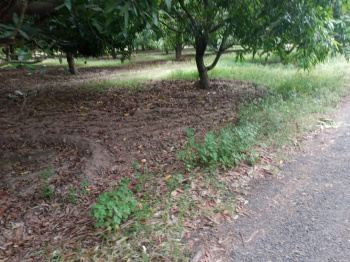 Agricultural/Farm Land for Sale in Gummidipoondi, Thiruvallur (70 Sq.ft.)