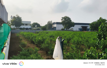 20000 Sq.ft. Factory / Industrial Building for Sale in Getnamallee, Chennai