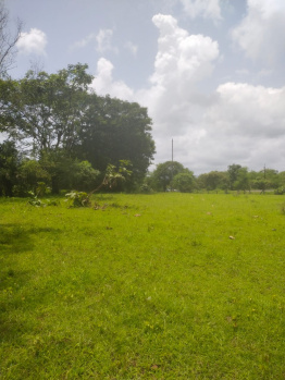 12 Acre Agricultural/Farm Land for Sale in Wada, Palghar