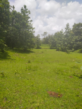 Property for sale in Manor, Palghar