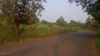 100 Acre Agricultural/Farm Land for Sale in Wada, Palghar
